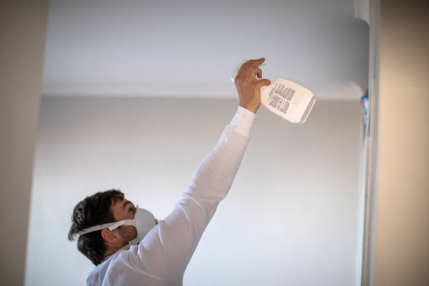 Best Residential Mold Remediation in Prosser, WA