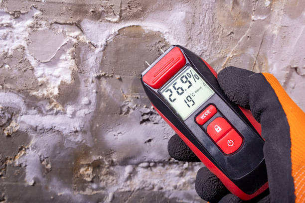 Best Crawl Space Mold Remediation in Prosser, WA
