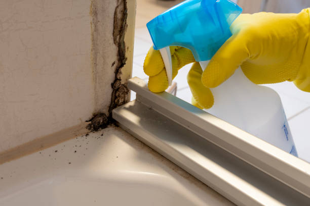 Best Mold Testing and Inspection Services in Prosser, WA