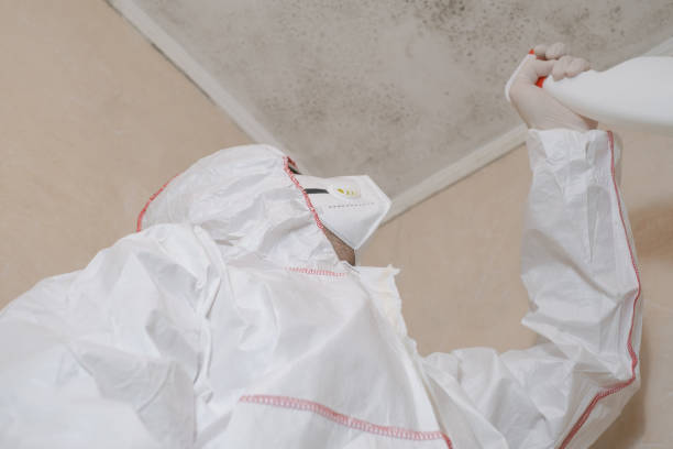 Best Mold Remediation for Schools in Prosser, WA